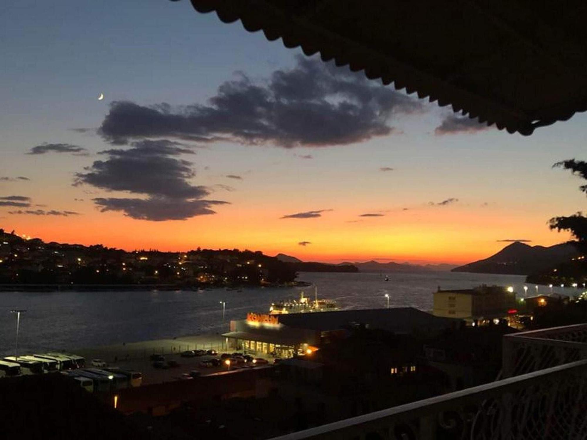 Tayra Dubrovnik